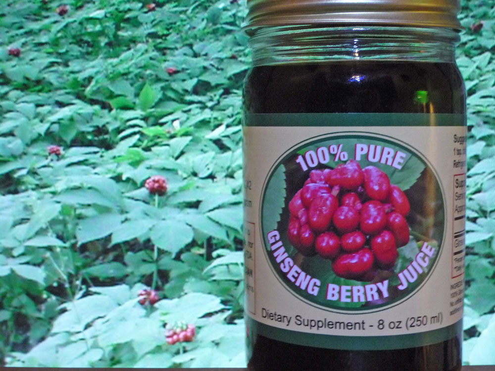 American Ginseng Berry Juice Colwell's Ginseng Pennsylvania Ginseng Grower