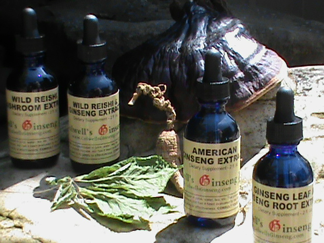 Wild Reishi & American Ginseng Extracts